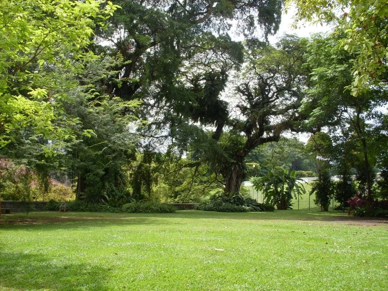 Fort Canning park