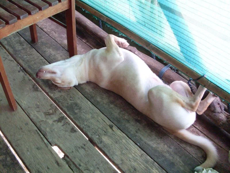 Relax na max