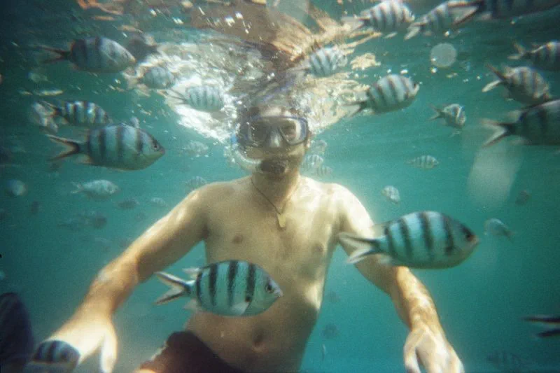 Fish garden