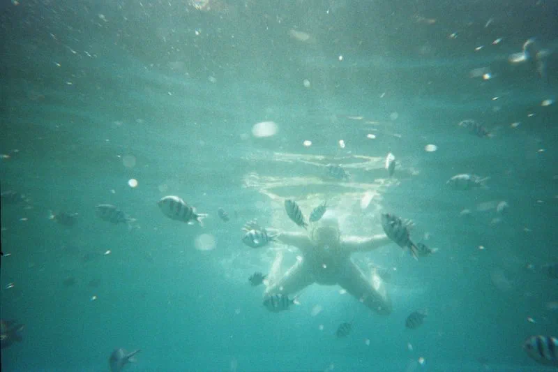 Fish garden2