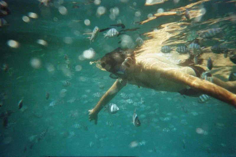Fish garden3