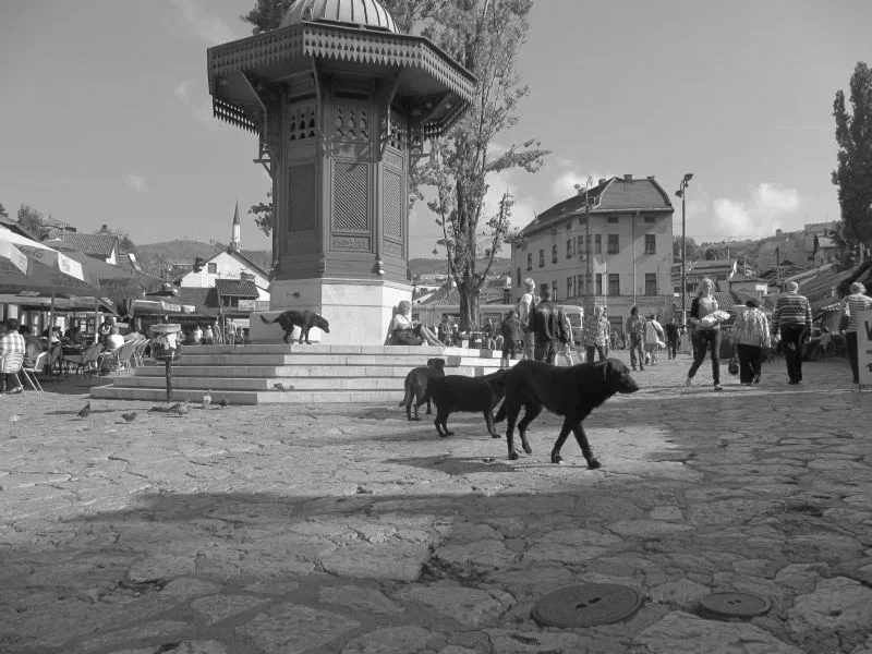 BIH