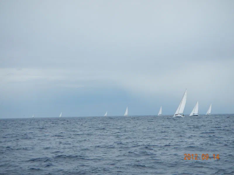 Regata