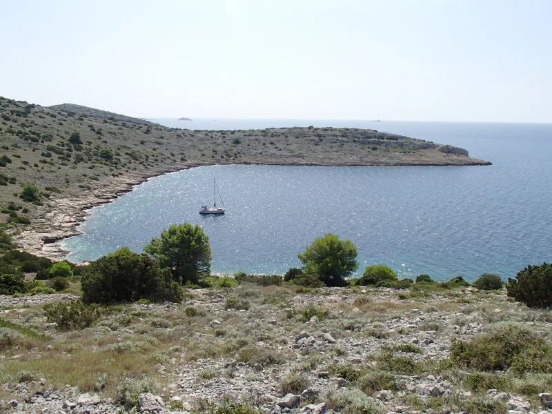 Vela Nozdra2